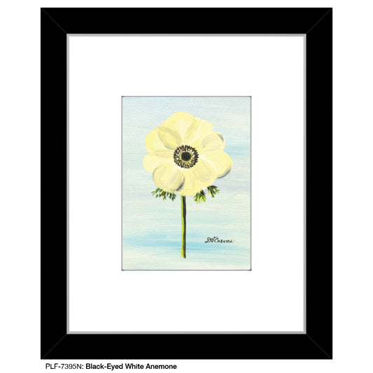 Black-Eyed White Anemone, Print (#7395N)