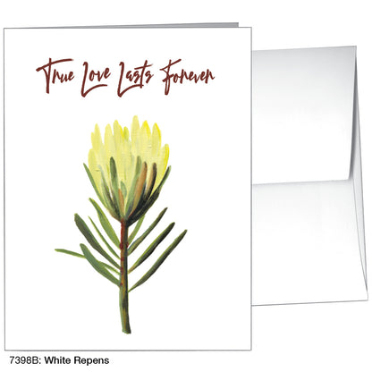 White Repens, Greeting Card (7398B)