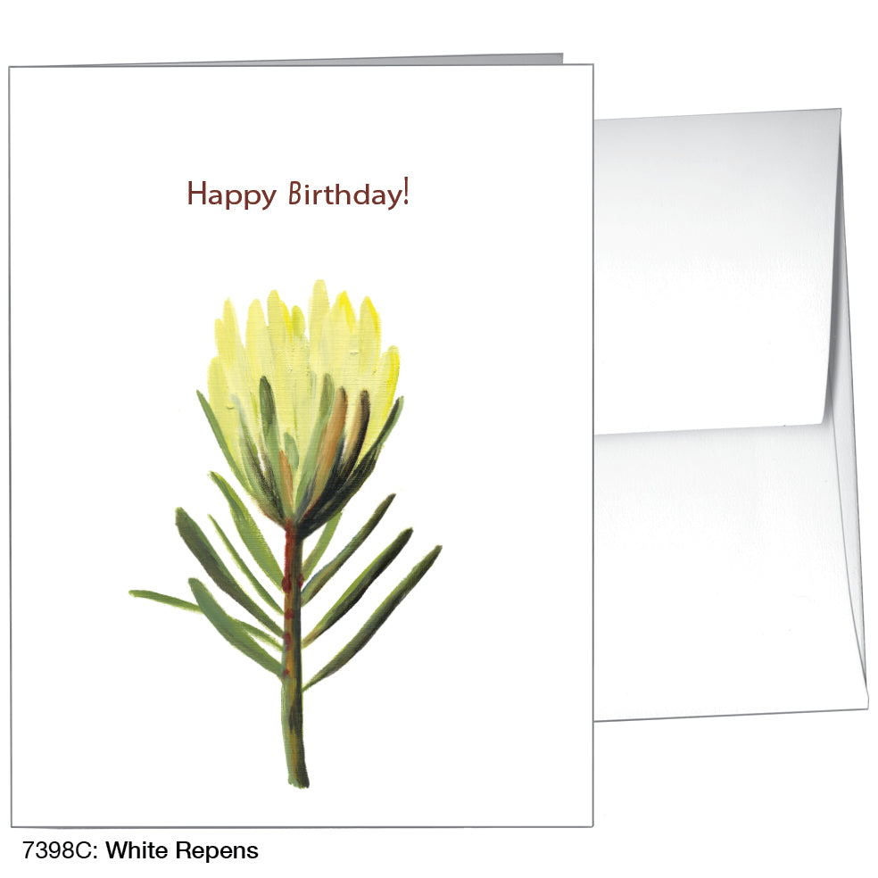 White Repens, Greeting Card (7398C)