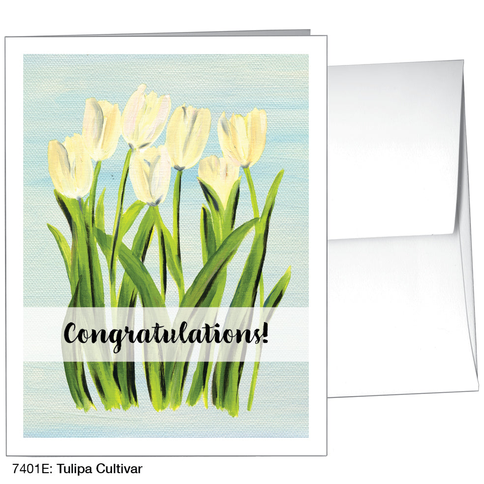 Tulipa Cultivar, Greeting Card (7401E)