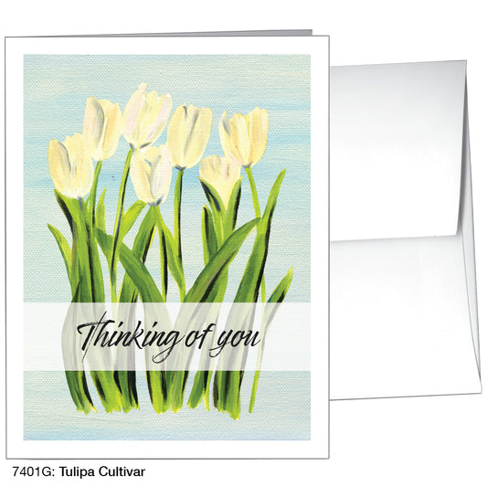 Tulipa Cultivar, Greeting Card (7401G)