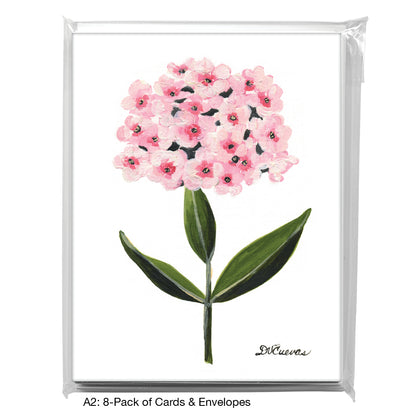 Summer Phlox, Greeting Card (7402)