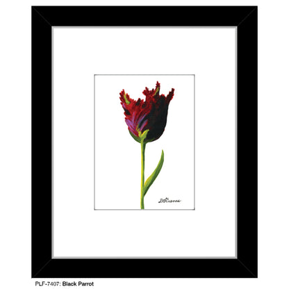 Black Parrot, Print (#7407)