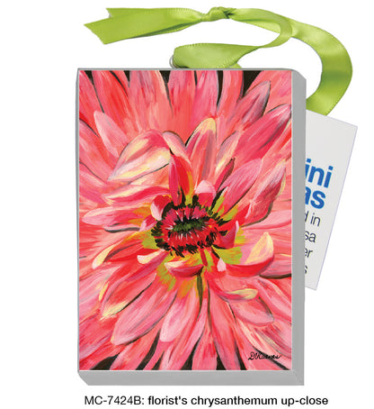 Florist'S Chrysanthemum Close-Up (MC-7424B)
