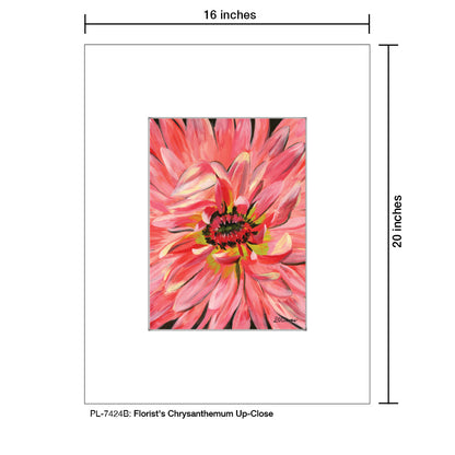 Florist's Chrysanthemum Up-Close, Print (#7424B)