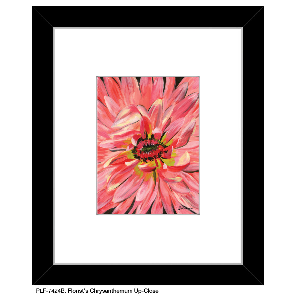 Florist's Chrysanthemum Up-Close, Print (#7424B)