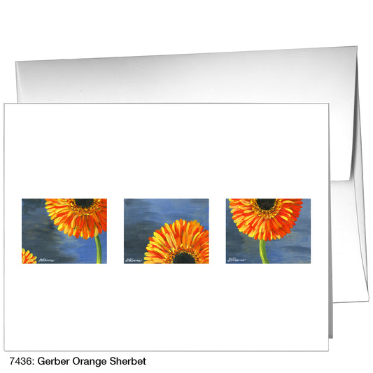 Gerber Orange Sherbet, Greeting Card (7436)