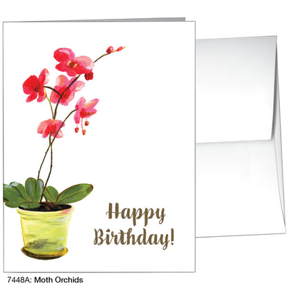 Moth Orchids, Greeting Card (7448A)