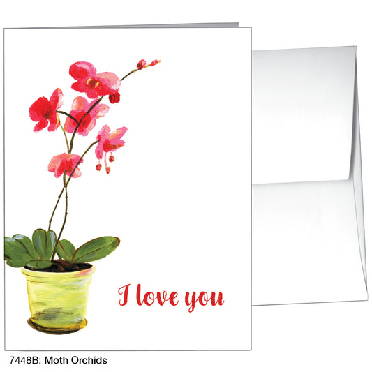 Moth Orchids, Greeting Card (7448B)