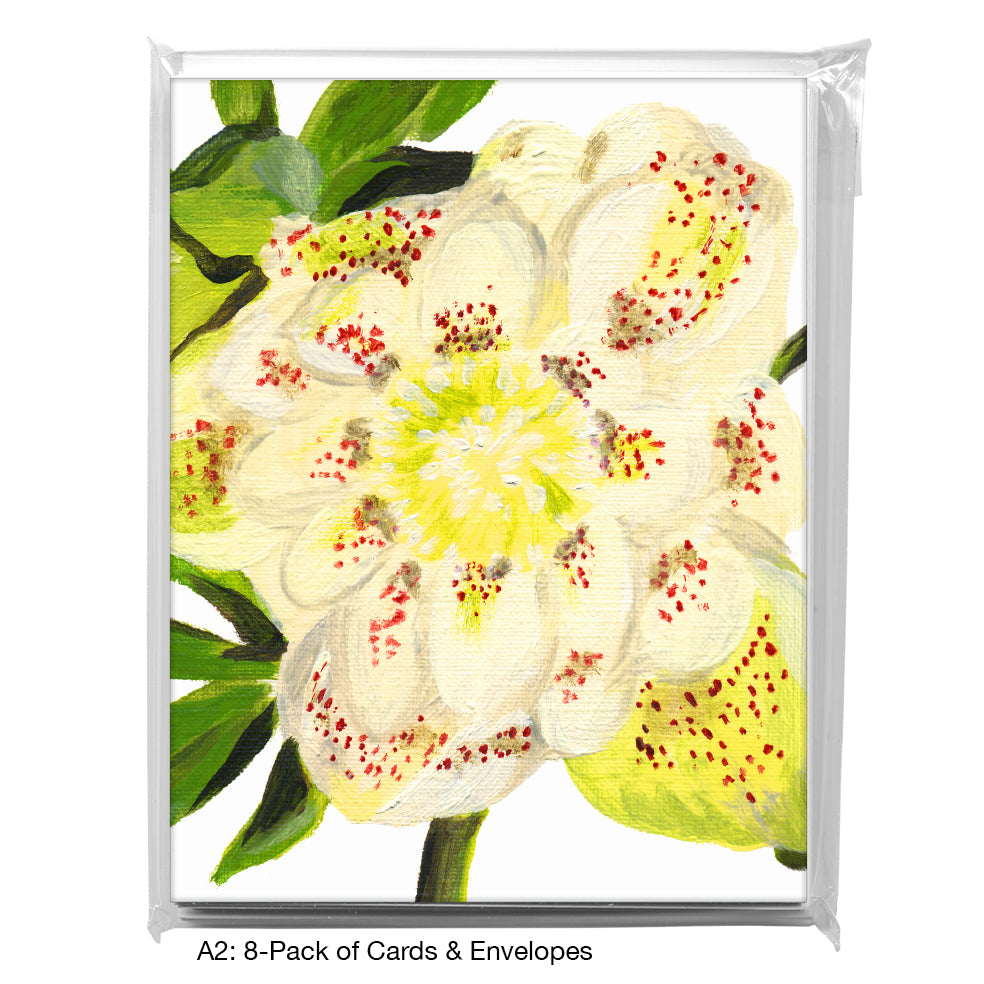 Hellebore Bloom, Greeting Card (7514C)