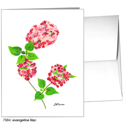 Evangeline Lilac, Greeting Card (7584)