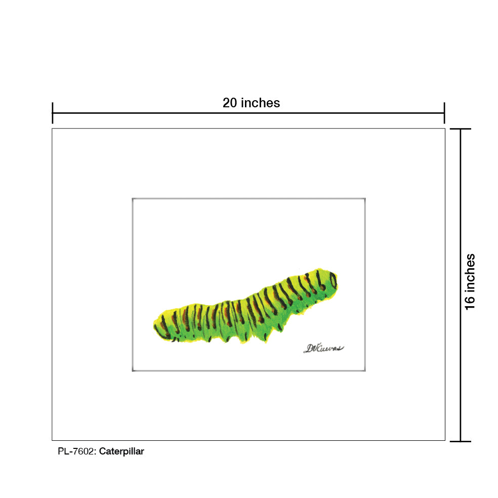 Caterpillar, Print (#7602)