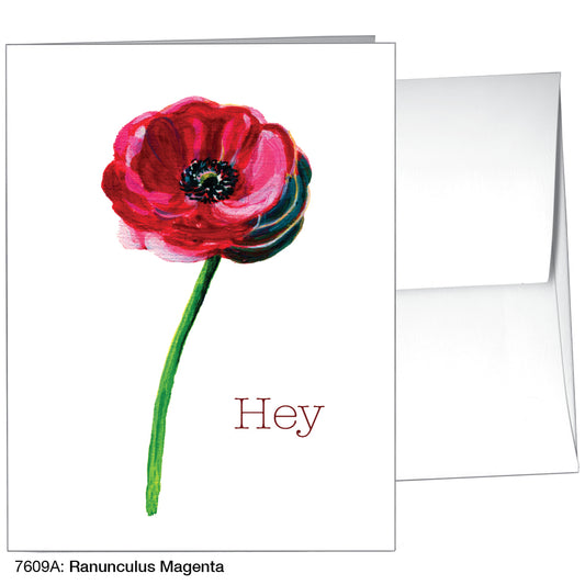 Ranunculus Magenta, Greeting Card (7609A)
