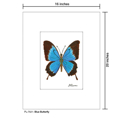 Blue Butterfly, Print (#7621)
