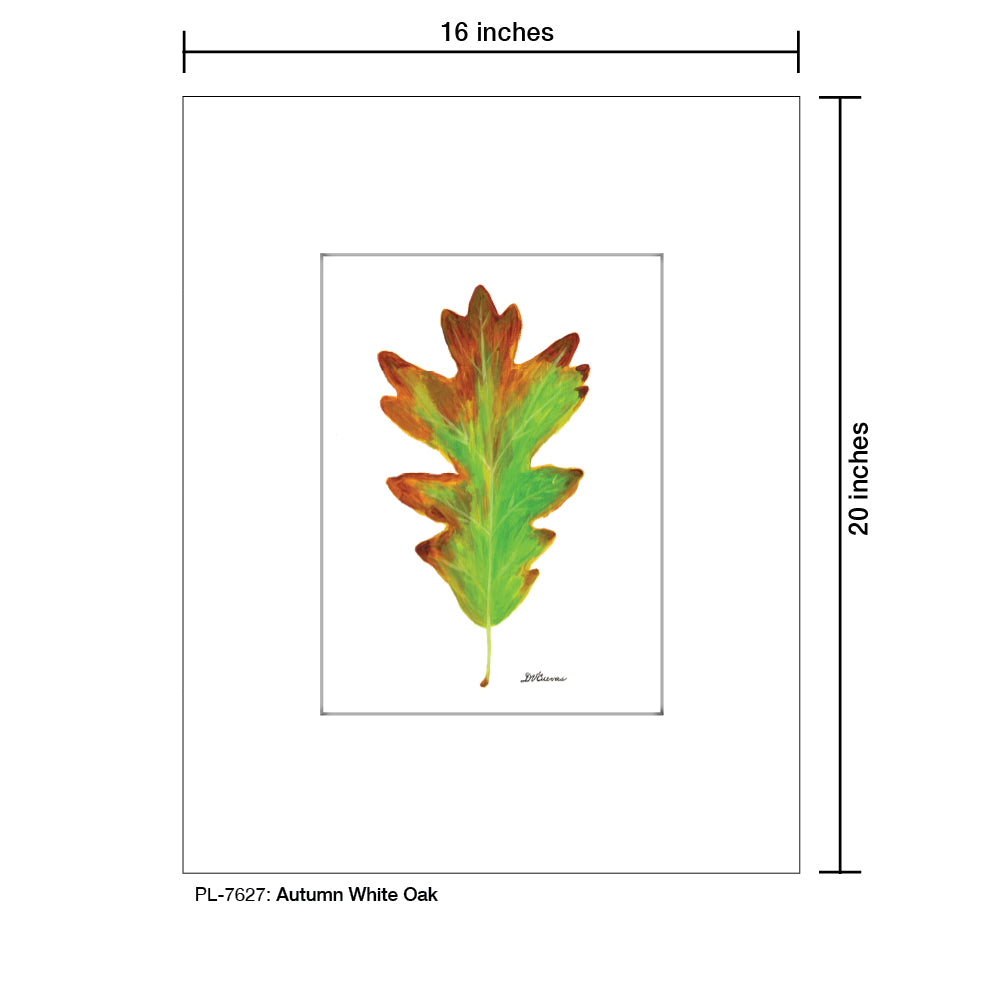 Autumn White Oak, Print (#7627)