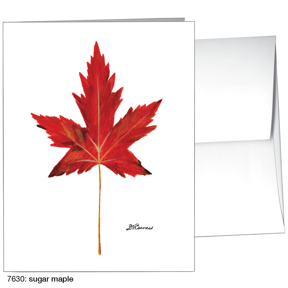 Sugar Maple, Greeting Card (7630)