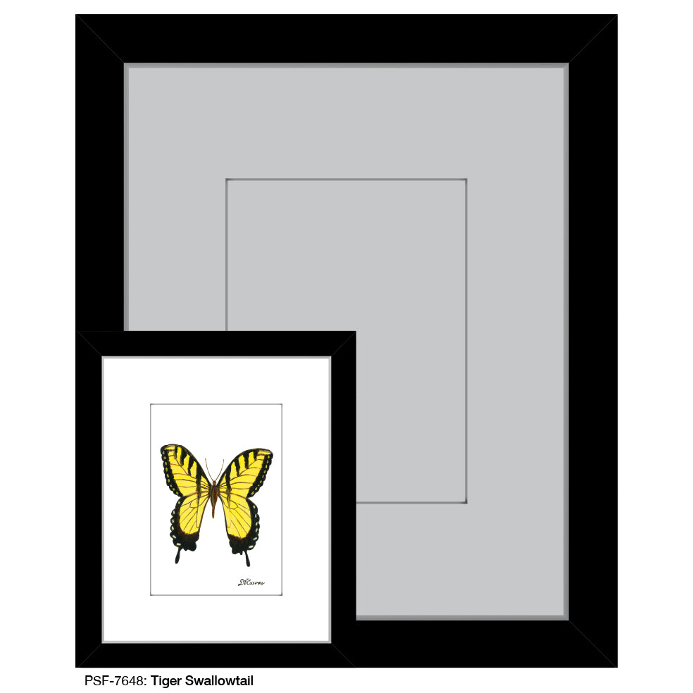 Tiger Swallowtail, Print (#7648)