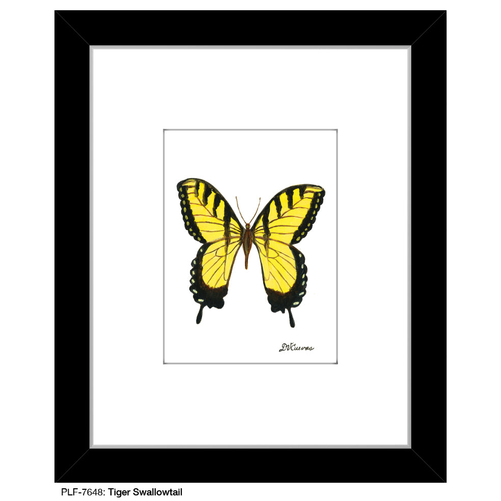 Tiger Swallowtail, Print (#7648)