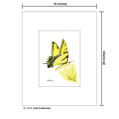 Side Swallowtail, Print (#7678)
