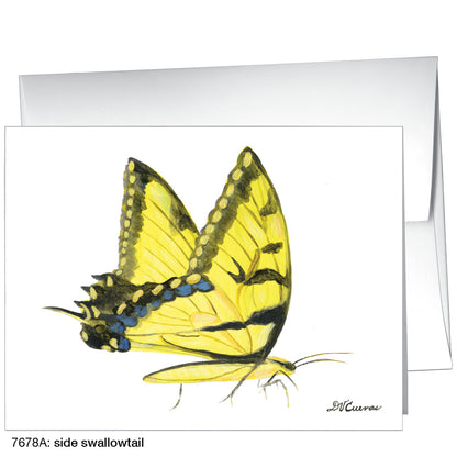 Side Swallowtail, Greeting Card (7678A)