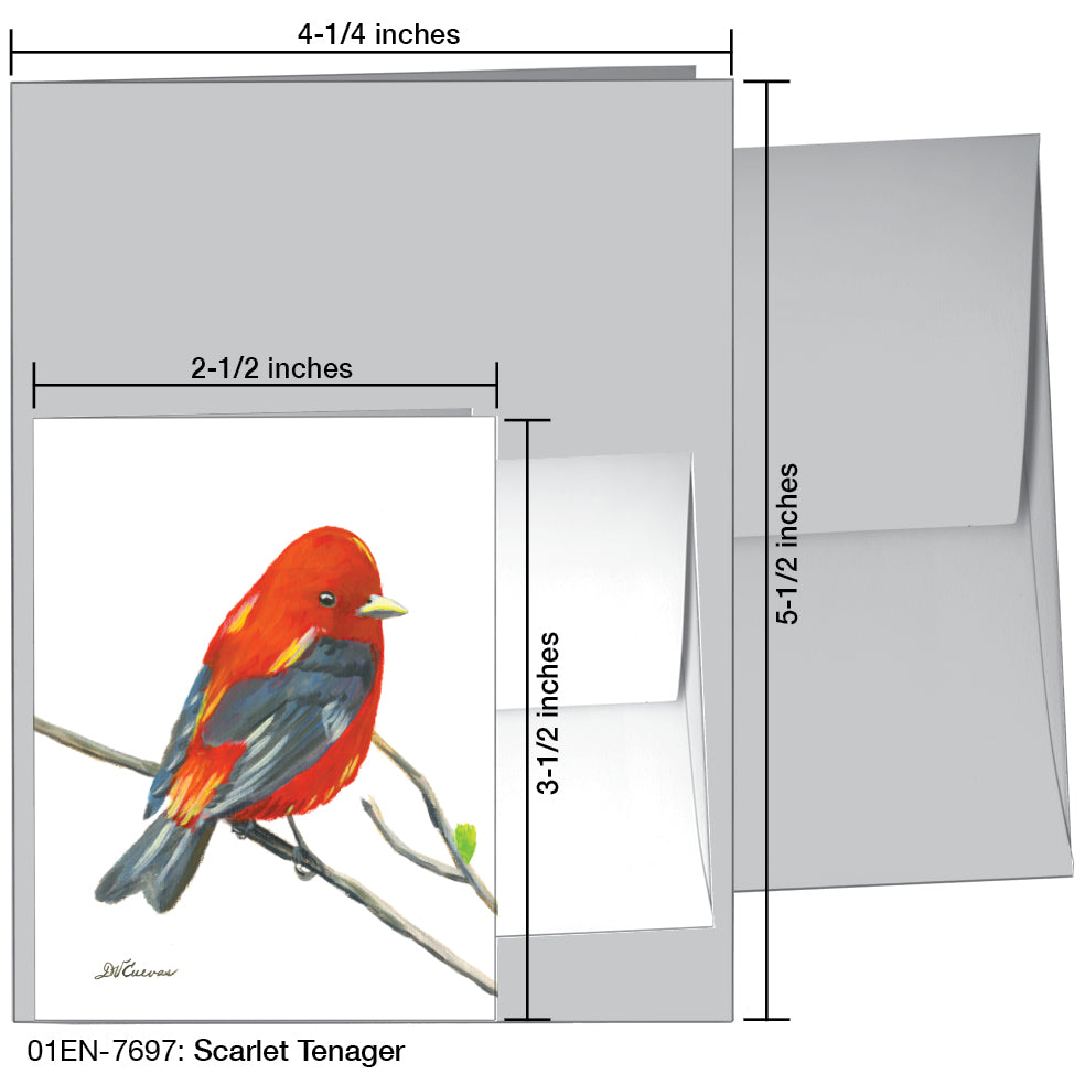 Scarlet Tenager, Greeting Card (7697)