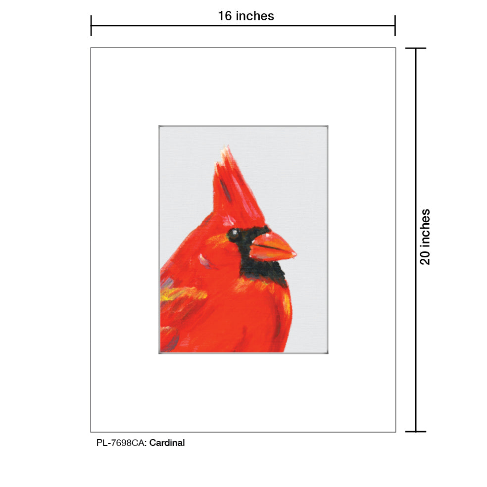 Cardinal, Print (#7698CA)