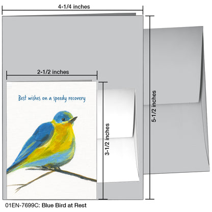 Blue Bird At Rest, Greeting Card (7699C)