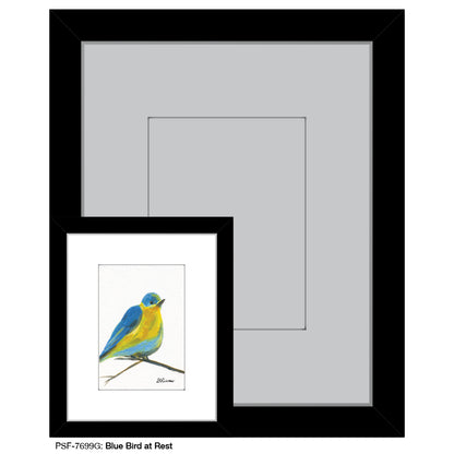 Blue Bird at Rest, Print (#7699G)