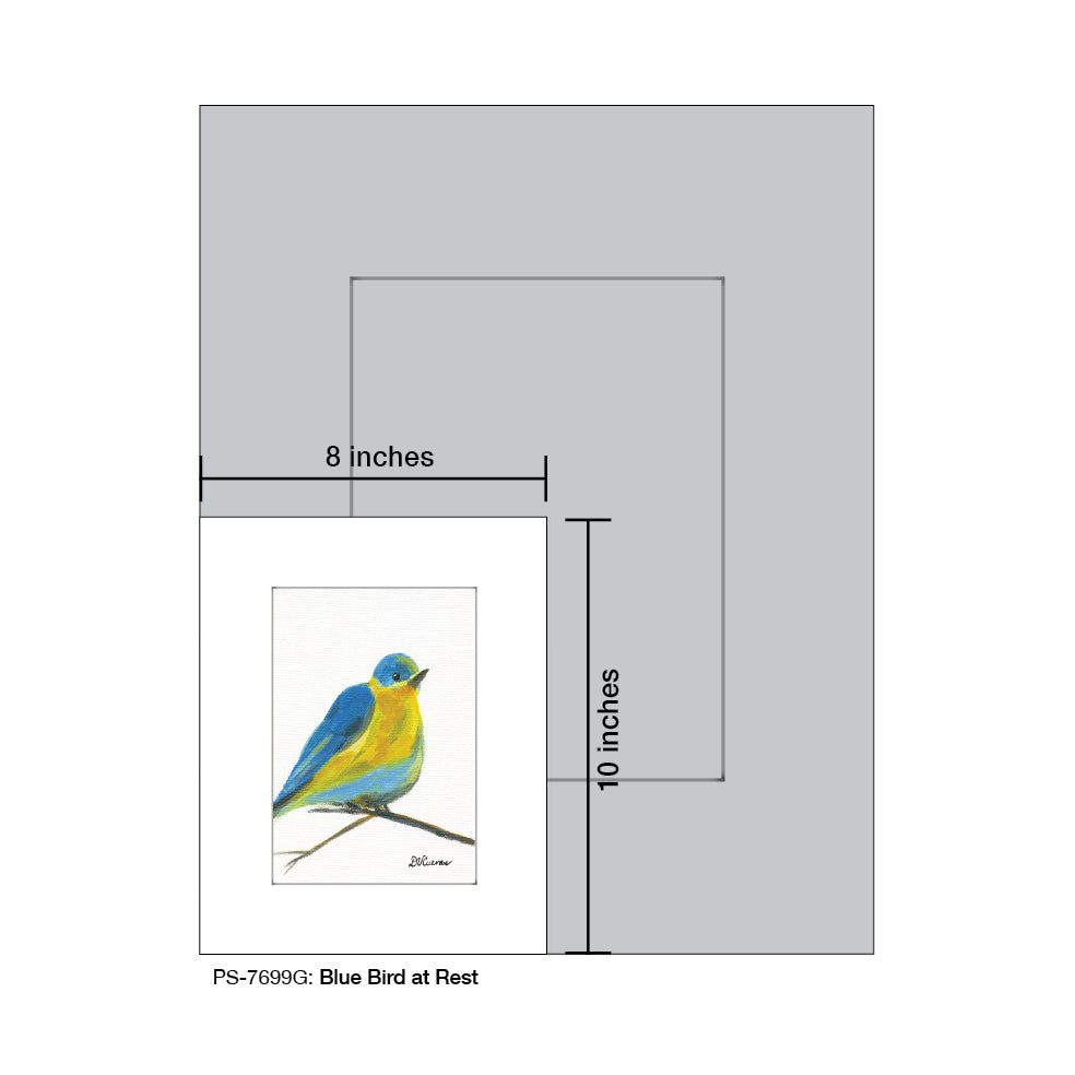 Blue Bird at Rest, Print (#7699G)