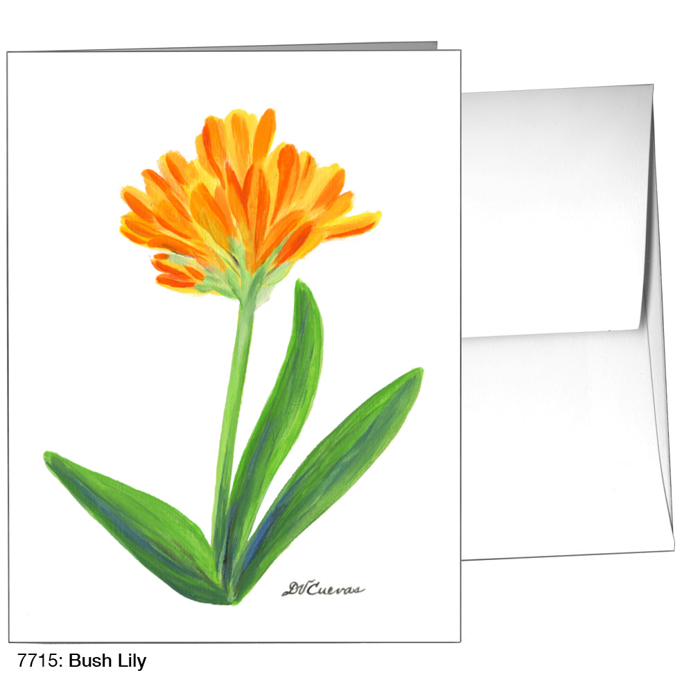 Bush Lily, Greeting Card (7715)
