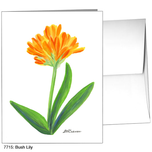 Bush Lily, Greeting Card (7715)