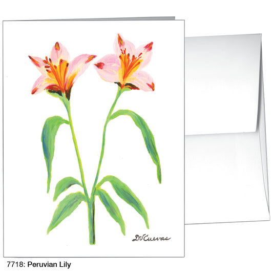 Peruvian Lily, Greeting Card (7718)