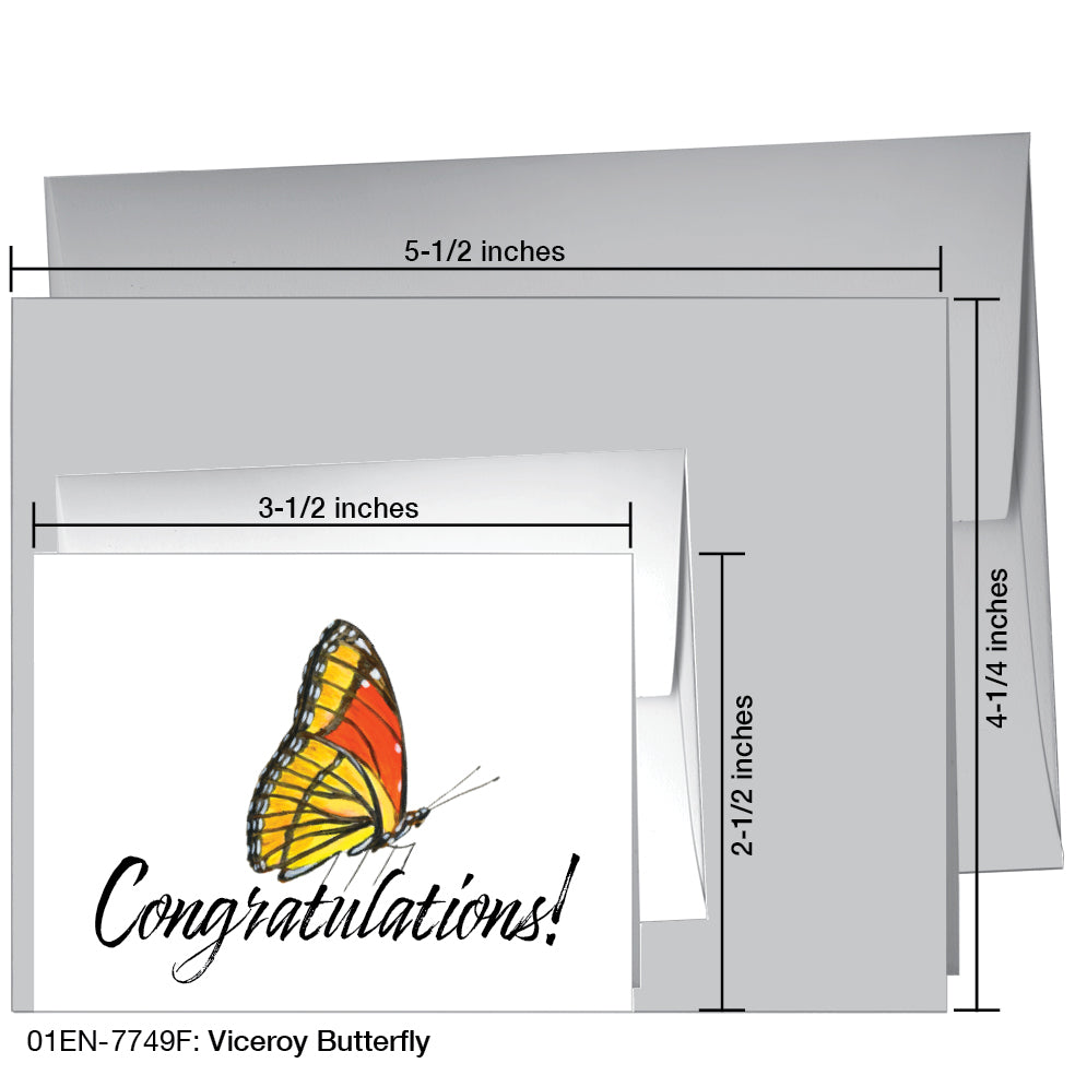Viceroy Butterfly, Greeting Card (7749F)