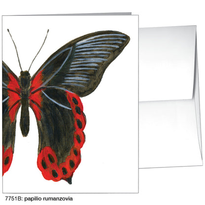 Papilio Rumanzovia, Greeting Card (7751B)