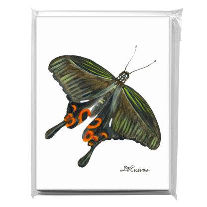 Common Mormon Butterfly, Greeting Card (7754)