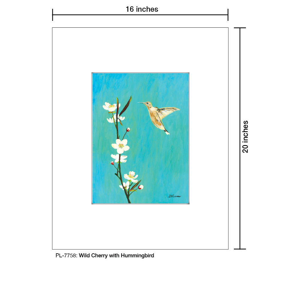 Wild Cherry With Hummingbird, Print (#7758)