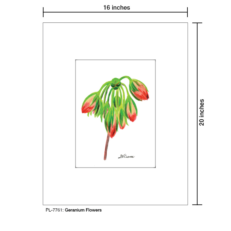 Geranium Flowers, Print (#7761)