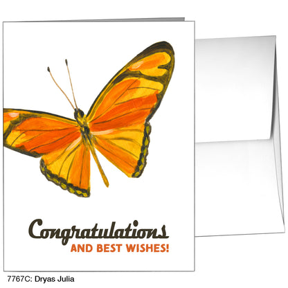 Dryas Julia, Greeting Card (7767C)