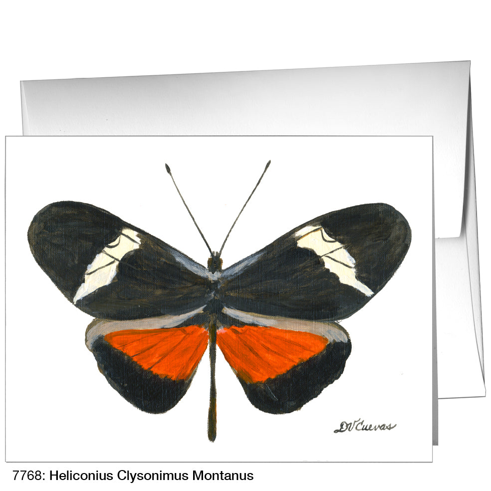 Heliconius Clysonimus Montanus, Greeting Card (7768)