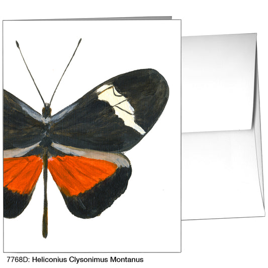 Heliconius Clysonimus Montanus, Greeting Card (7768D)