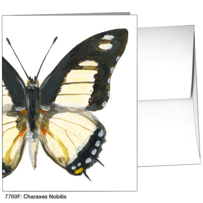 Charaxes Nobilis, Greeting Card (7769F)