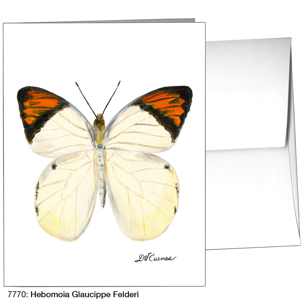 Hebomoia Glaucippe Felderi, Greeting Card (7770)