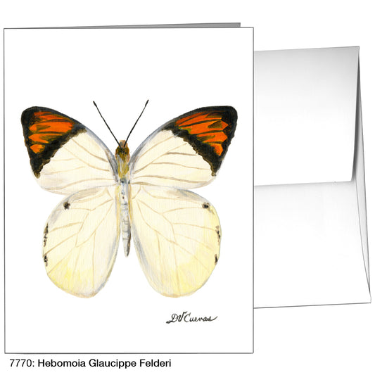 Hebomoia Glaucippe Felderi, Greeting Card (7770A)