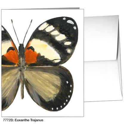 Euxanthe Trajanus, Greeting Card (7772B)