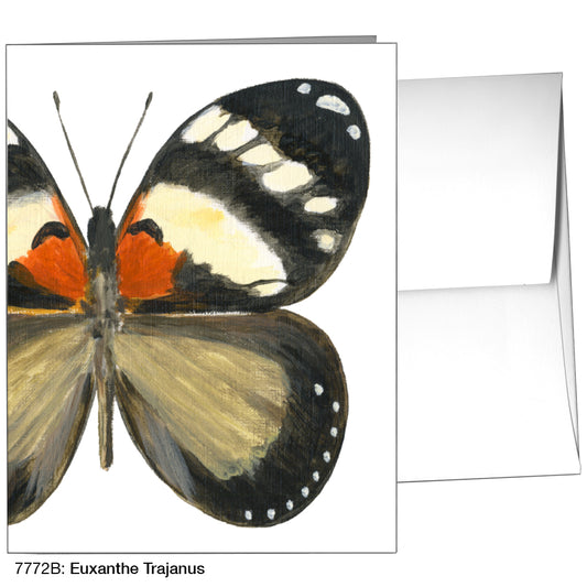 Euxanthe Trajanus, Greeting Card (7772B)
