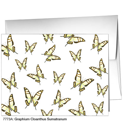 Graphium Cloanthus Sumatranum, Greeting Card (7773A)