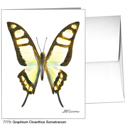 Graphium Cloanthus Sumatranum, Greeting Card (7773)