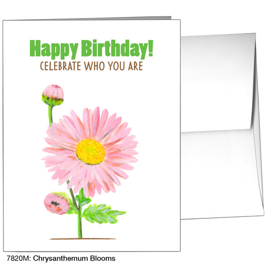 Chrysanthemum Blooms, Greeting Card (7820M)