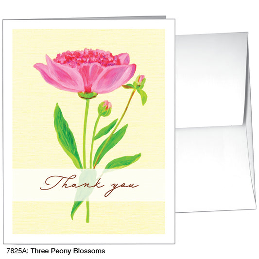Three Peony Blossoms, Greeting Card (7825A)