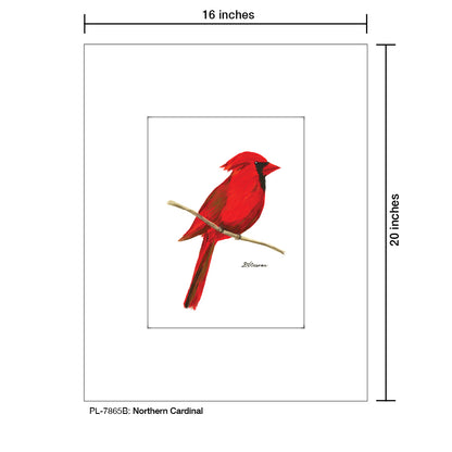 Northern Cardinal, Print (#7865B)